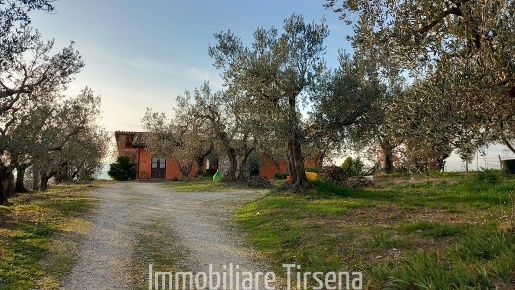 Foto Casale a Orvieto di 201 m² con 7 locali in vendita