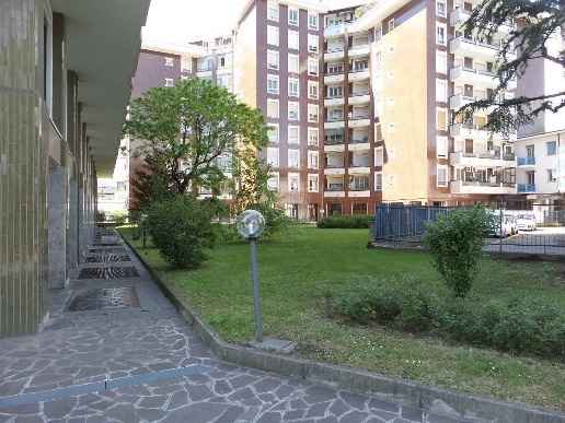 immagine annuncio 10 di 14