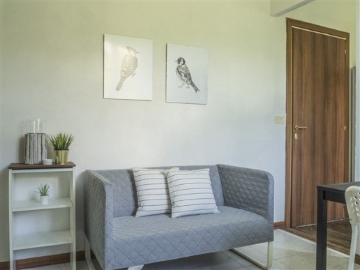 immagine annuncio 3 di 9