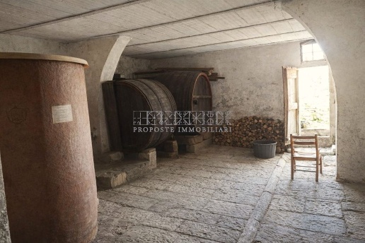 immagine annuncio 6 di 14