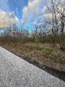 Foto Terreno agricolo in carpinelli, Carbonara di Nola di 3011 m²