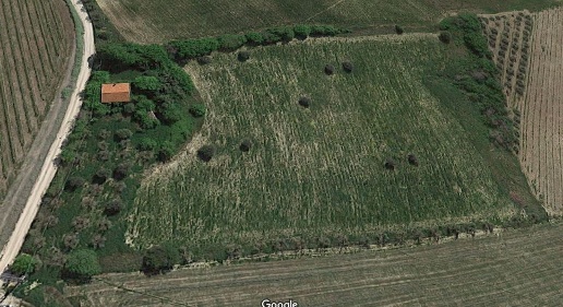 immagine annuncio 2 di 3