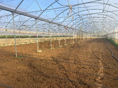 Foto Cessione attività a Partinico di 11000 m² con 1 locali in vendita