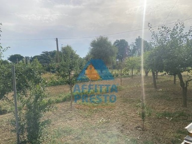 Foto Terreno agricolo a Empoli di 1900 m² in vendita