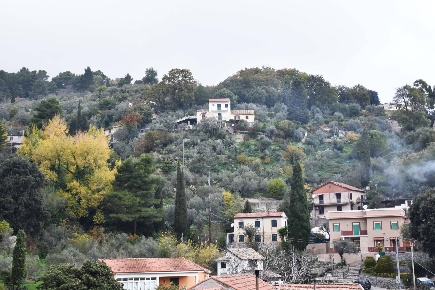 Foto Terreno residenziale in Via della Forestale snc, Monreale di 2396 m²