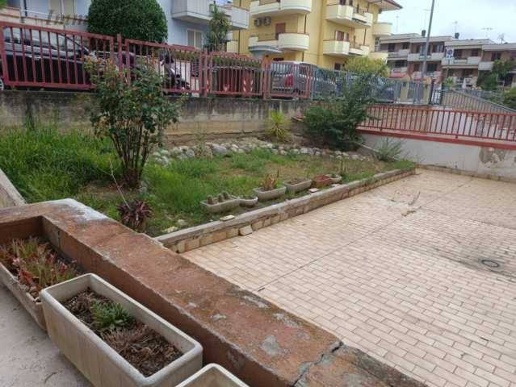 immagine annuncio 2 di 12