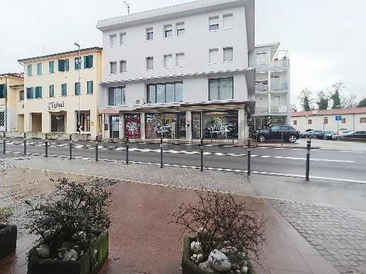 immagine annuncio 3 di 12