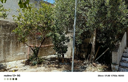 Foto Villa unifamiliare in via Dei Templi Triscina 174, Castelvetrano