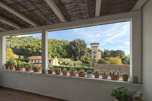 immagine annuncio 4 di 14