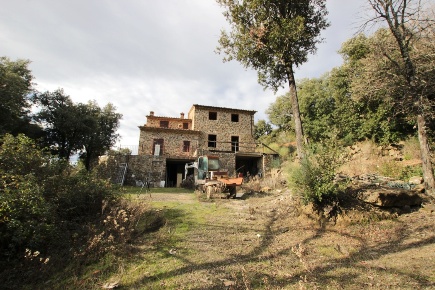 Foto Rustico a Murlo di 600 m² in vendita