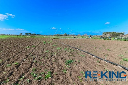 Foto Terreno a Matino di 4330 m² in vendita