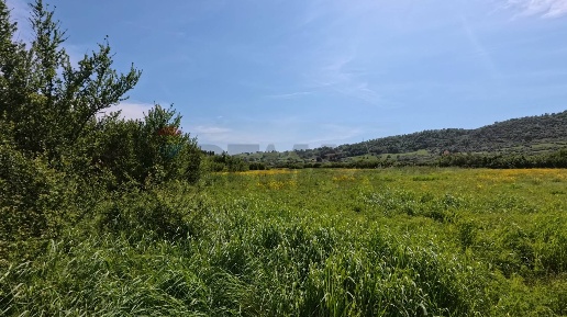 Foto Terreno agricolo a Campagnano di Roma di 11200 m² in vendita