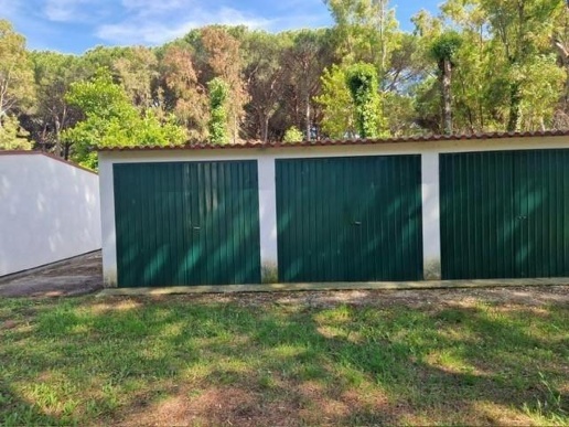 immagine annuncio 11 di 12