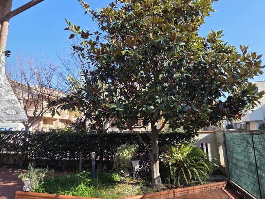 immagine annuncio 6 di 13