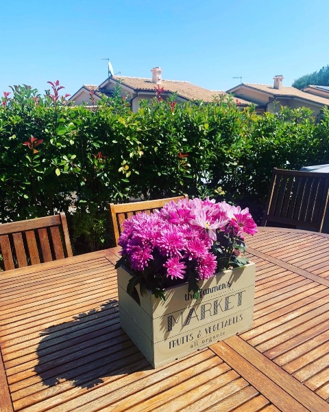 immagine annuncio 6 di 11