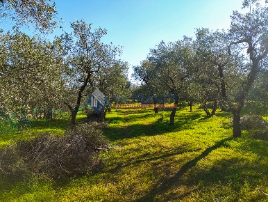 Foto Posti auto in Autostrada Adriatica, Bitonto di 4410 m² con 3 locali