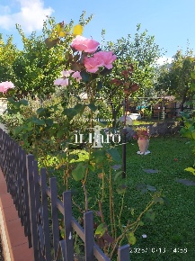 Foto Casa indipendente a Massarosa Bozzano, Quiesa di 150 m² con 5 locali