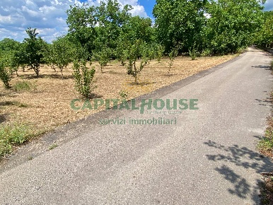 Foto Terreno agricolo in carpinelli, Carbonara di Nola di 8175 m²