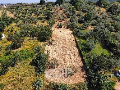 Foto Terreno agricolo in Strada della Fornace snc, Palombara Sabina