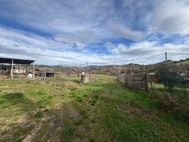 Foto Terreno agricolo a Offida di 1000 m² in vendita