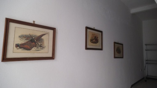 Foto Appartamento a Barbianello Centro di 75 m² con 3 locali in affitto