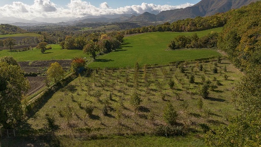 Foto Terreno agricolo in frazione catobagli 53, Sassoferrato Catobagli