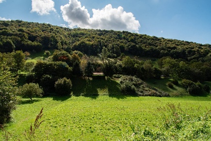 Foto Terreno residenziale in Via Gremone SNC, Polaveno Centro di 3031 m²