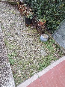 Foto Casa indipendente a Crespina Lorenzana Lavoria di 100 m² con 5 locali