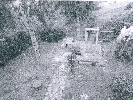 immagine annuncio 6 di 7