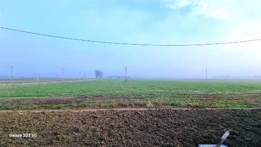 Foto Appartamento in Strada Martinella 221, Parma Vigatto di 145 m²