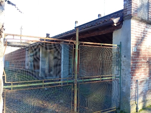 immagine annuncio 2 di 11