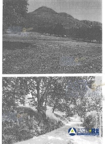 Foto Terreno edificabile in località Castellonorato, Formia Castellonorato