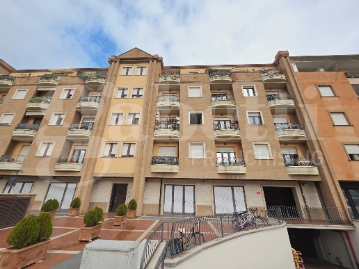 immagine annuncio 0 di 15