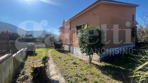 immagine annuncio 12 di 14