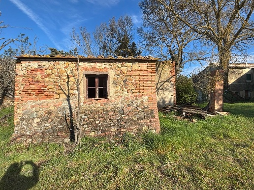 immagine annuncio 10 di 13