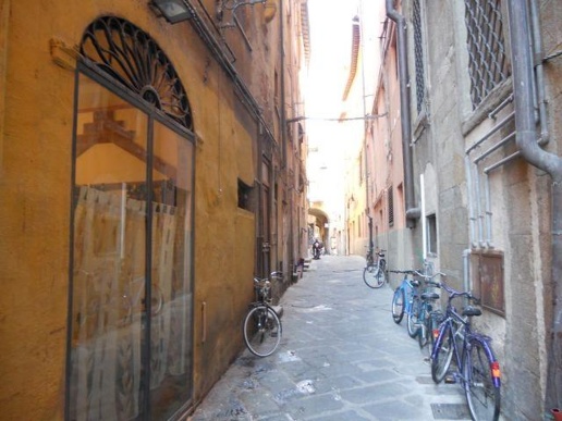 immagine annuncio 12 di 14