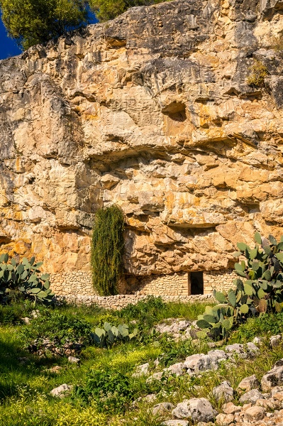 immagine annuncio 6 di 10