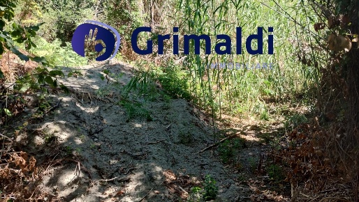 Foto Terreno agricolo in Corsa Regina Elena SNC, Barano d'Ischia di 4005 m²