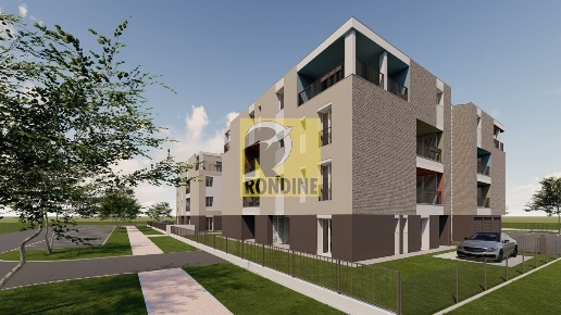 immagine annuncio 1 di 6