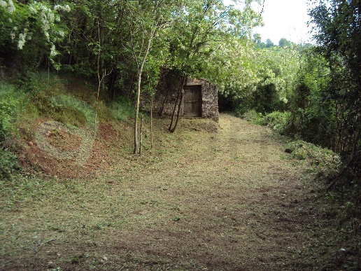 immagine annuncio 4 di 7