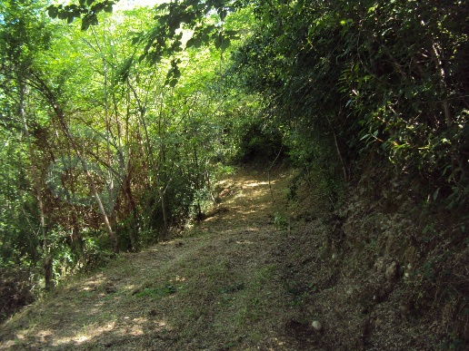 immagine annuncio 5 di 7