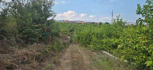 Foto Terreno agricolo in Via Carlino 50, Mascali di 21214 m² in vendita