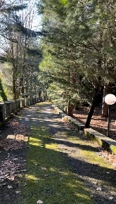 Foto Villa unifamiliare in Santa Maria del porto, Torriglia di 400 m²