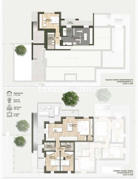 immagine annuncio 4 di 6