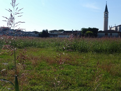 Foto Terreno residenziale in Via Roma 00, Pozzoleone Centro di 4750 m²