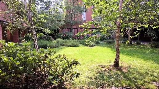 immagine annuncio 2 di 14