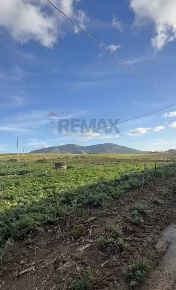 Foto Terreno agricolo in Fulgatore, Trapani Fulgatore Torretta in vendita