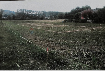 Foto Terreno residenziale in località Valpone, Canale Valpone di 4406 m²