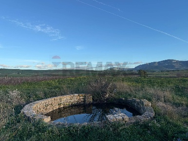 Foto Terreno agricolo in Fulgatore, Trapani Fulgatore Torretta di 21000 m²