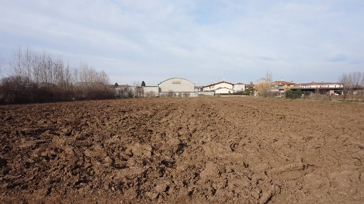 Foto Terreno residenziale in VIA Stroppe, Isorella di 5970 m² in vendita